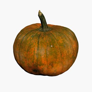 Pumpkin 3D Scan High Quality