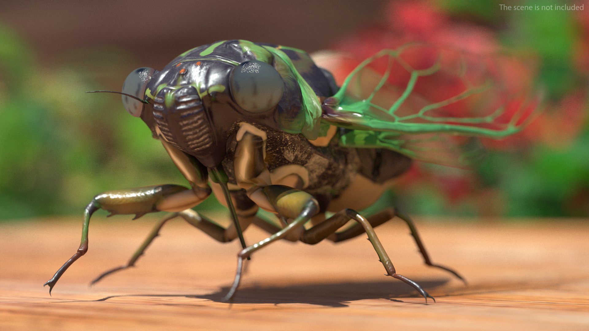 Cicada Pose Calm model - TurboSquid 2051818