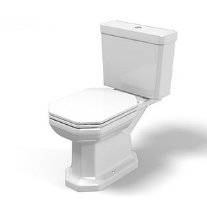 Duravit 1930 toilet