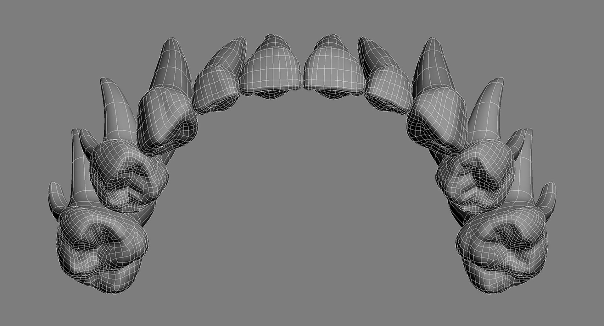 primary teeth dentition max https://p.turbosquid.com/ts-thumb/PS/Nyu3bZ/Jr2PVlpc/pt_wire_05/jpg/1440193645/1920x1080/fit_q87/3c33882dbd9f868ee5468d6d67518a07dd241398/pt_wire_05.jpg