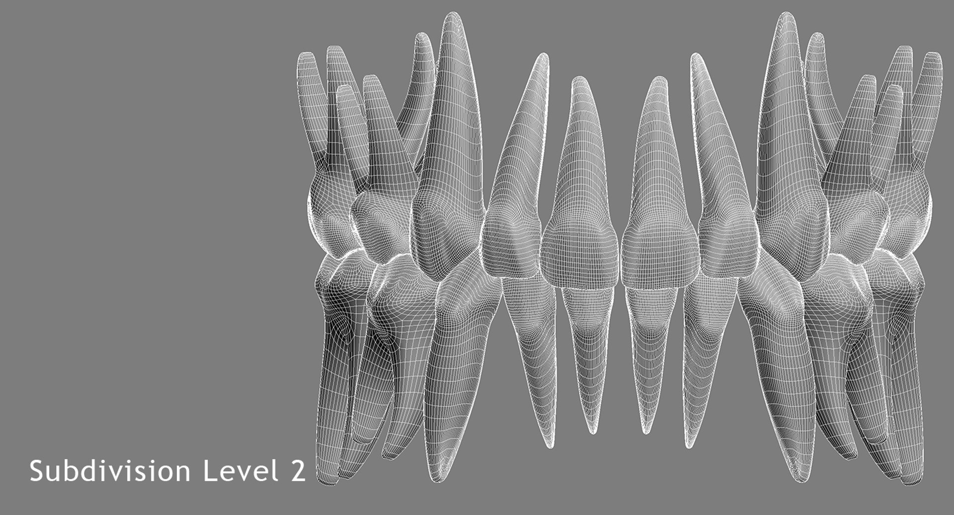primary teeth dentition max https://p.turbosquid.com/ts-thumb/PS/Nyu3bZ/dmkOKPWQ/pt_wire_03/jpg/1440193645/1920x1080/fit_q87/608e77bbedaa56b861364e30699a6d07b0bde0d5/pt_wire_03.jpg