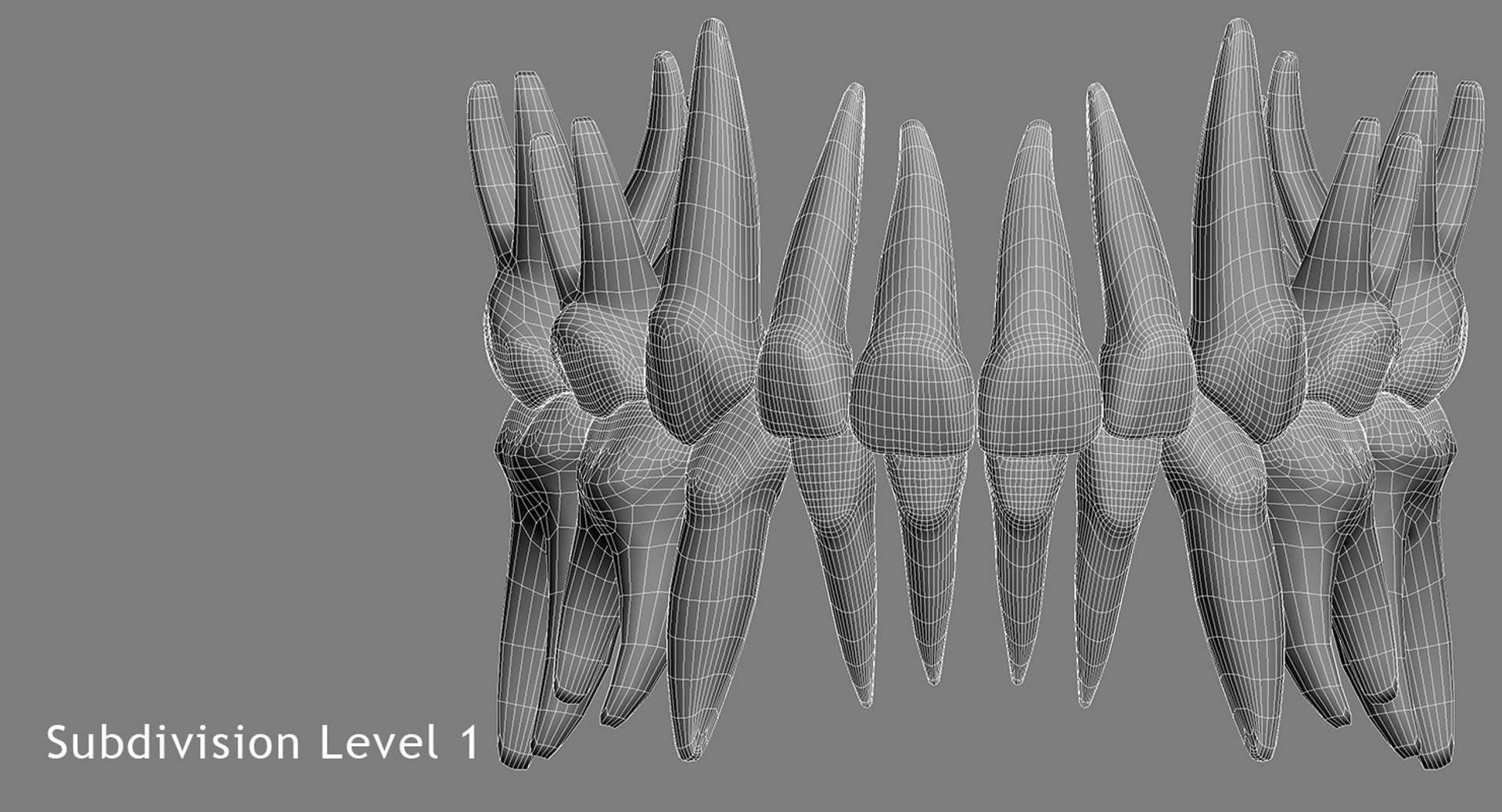 primary teeth dentition max https://p.turbosquid.com/ts-thumb/PS/Nyu3bZ/gmzL6s5e/pt_wire_02/jpg/1440193645/1920x1080/fit_q87/94c13e317647d4a8fd472cb895f34b5cdce4f10c/pt_wire_02.jpg