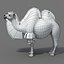 Bactrian Camel doble humped por 3DRivers