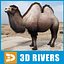 Bactrian Camel doble humped por 3DRivers