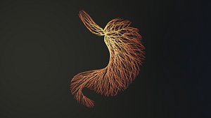 Human stomach unrolling growing animation