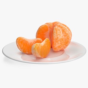 3D Peeled Mandarin Split into Segments on White Plate