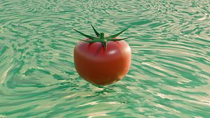 3D tomato model