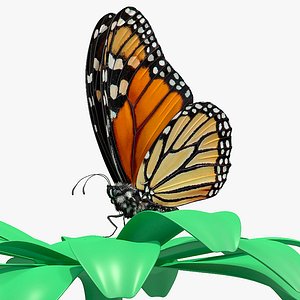 monarch butterfly collects nectar 3D model