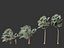 Bismarckia nobilis - Silver Bismarck Palm 04