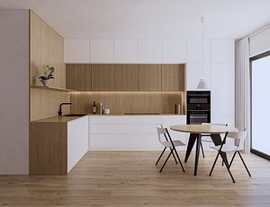Modern Kitchen Created in Revit 11 3D model