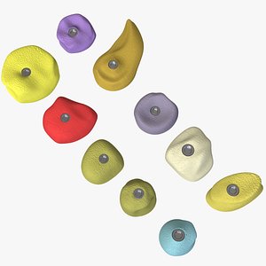 3D climbing rocks stones supports model