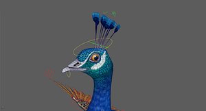 3D peacock stylized