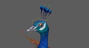 Peacock