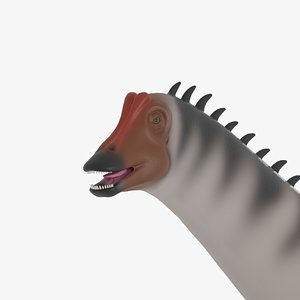 Diplodocus 3D model