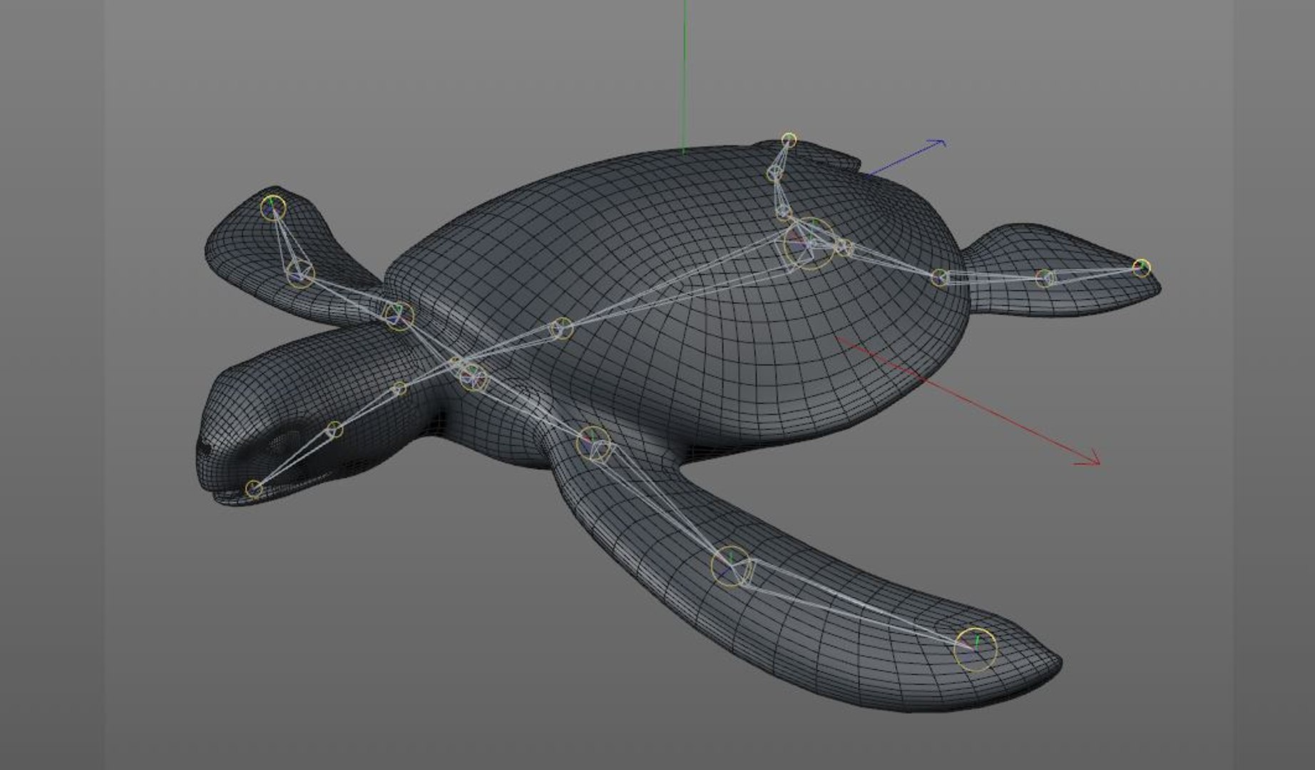 3D Turtle Rigged - TurboSquid 1551946