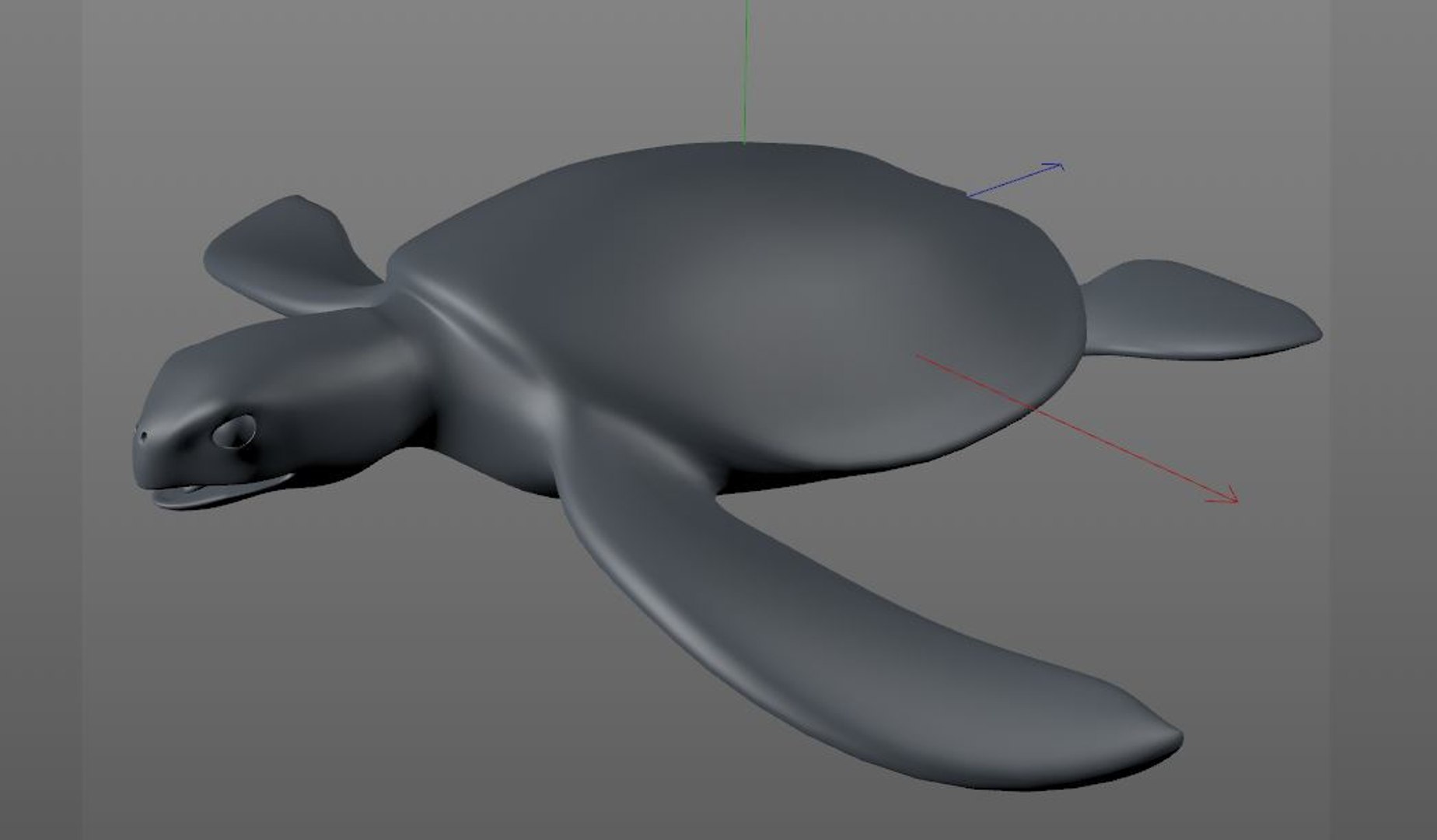3D Turtle Rigged - TurboSquid 1551946
