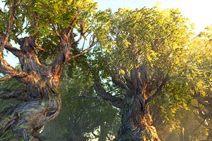 Mega Tree Animated HD