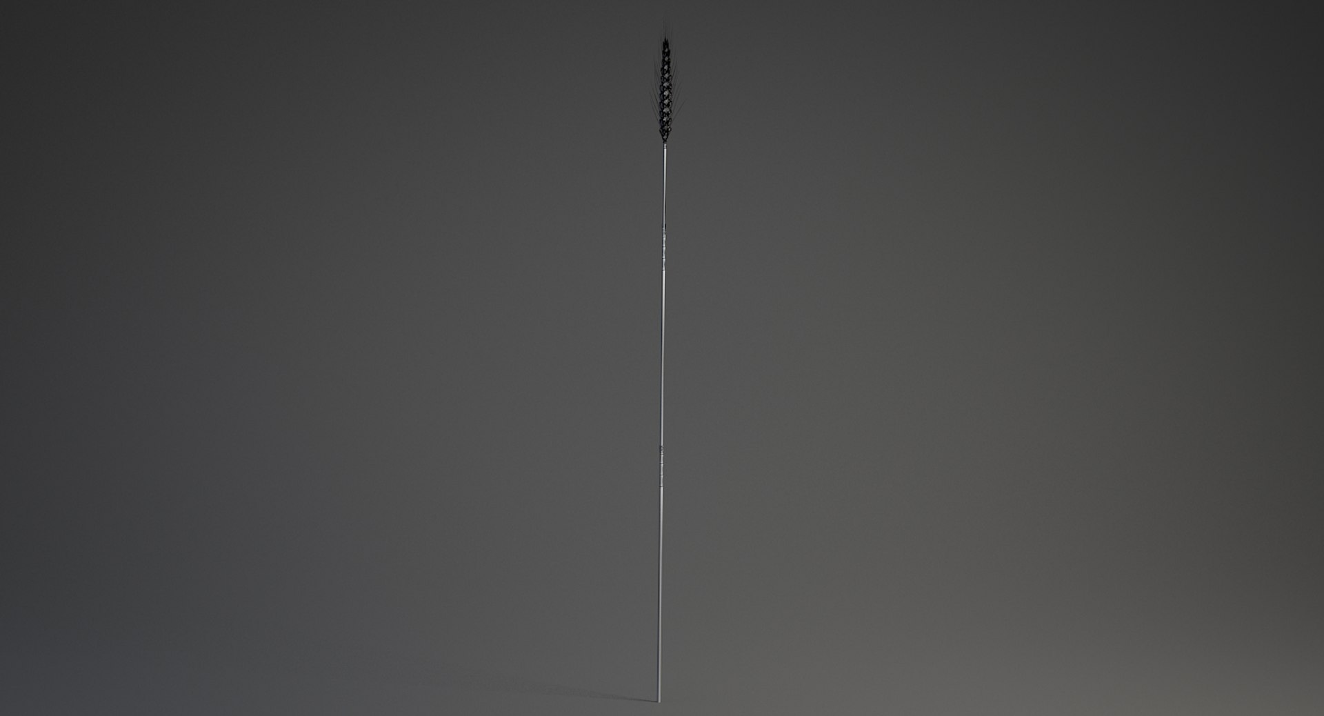 realistic wheat spikelets 3D model https://p.turbosquid.com/ts-thumb/PT/fFrdko/IYx5HkqB/wheat_13/jpg/1520424975/1920x1080/fit_q87/b117b1648bab08b3ad6552491c500fc0a8b57849/wheat_13.jpg