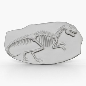 3D Dinosaur Fossil 001 model