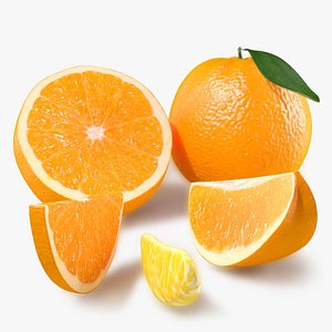 3d model orange slice