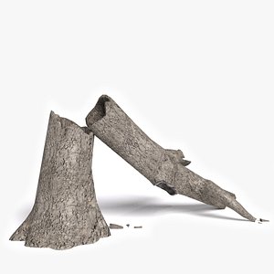 Dead Fallen Tree