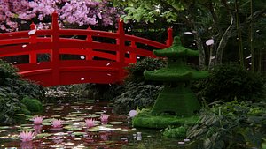 3D Japanese Garden 3d Scene