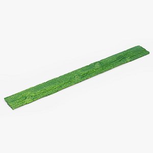 Ancient Wooden Plank surface v1 3d scan