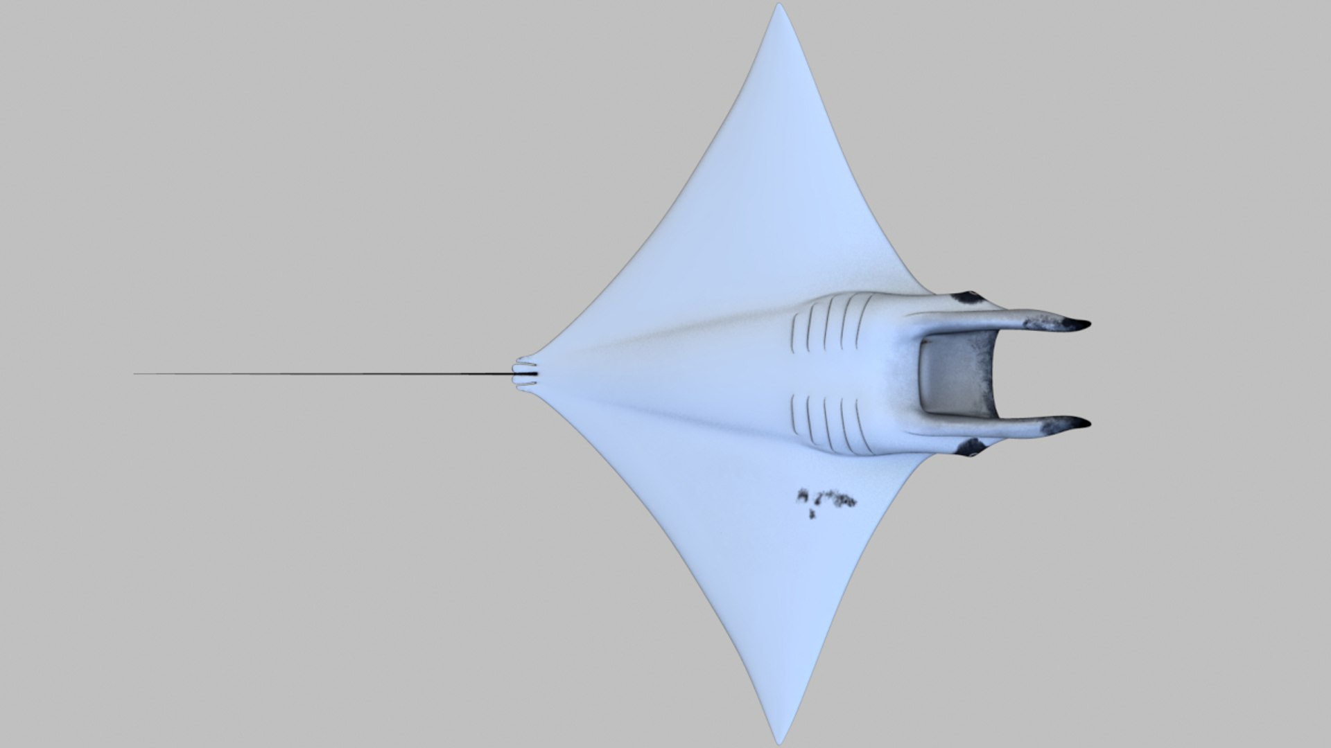 Mobula Animation Rig 3d Ma