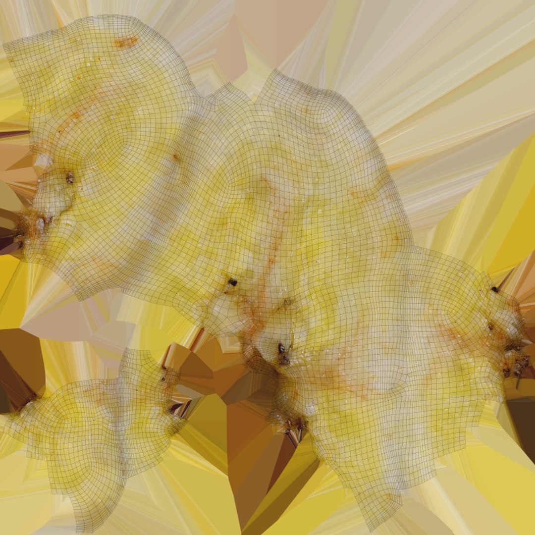 Banana Chip 02 - 3D Scanned 3D https://p.turbosquid.com/ts-thumb/PU/RAYK9Z/uw/bananachip02_e0004/png/1772899397/1920x1080/fit_q87/b3cd93f294a203ec1f4c89ba7bd905988a395a5d/bananachip02_e0004.jpg