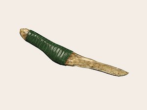 Stone Age Bone Knife