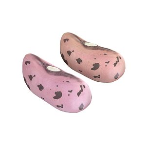 Cranberry Borlotti bean 3D