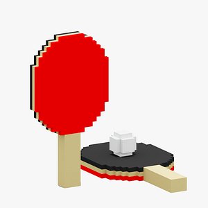 Voxel Ping Pong 3D