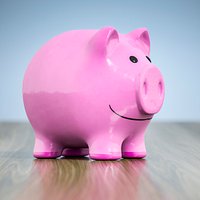 Piggy Bank Smile