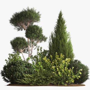 3D model Juniper pine garden thuja and barberry bush 1179