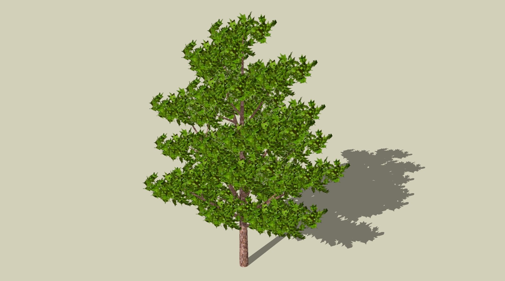 3d Model Of Tree