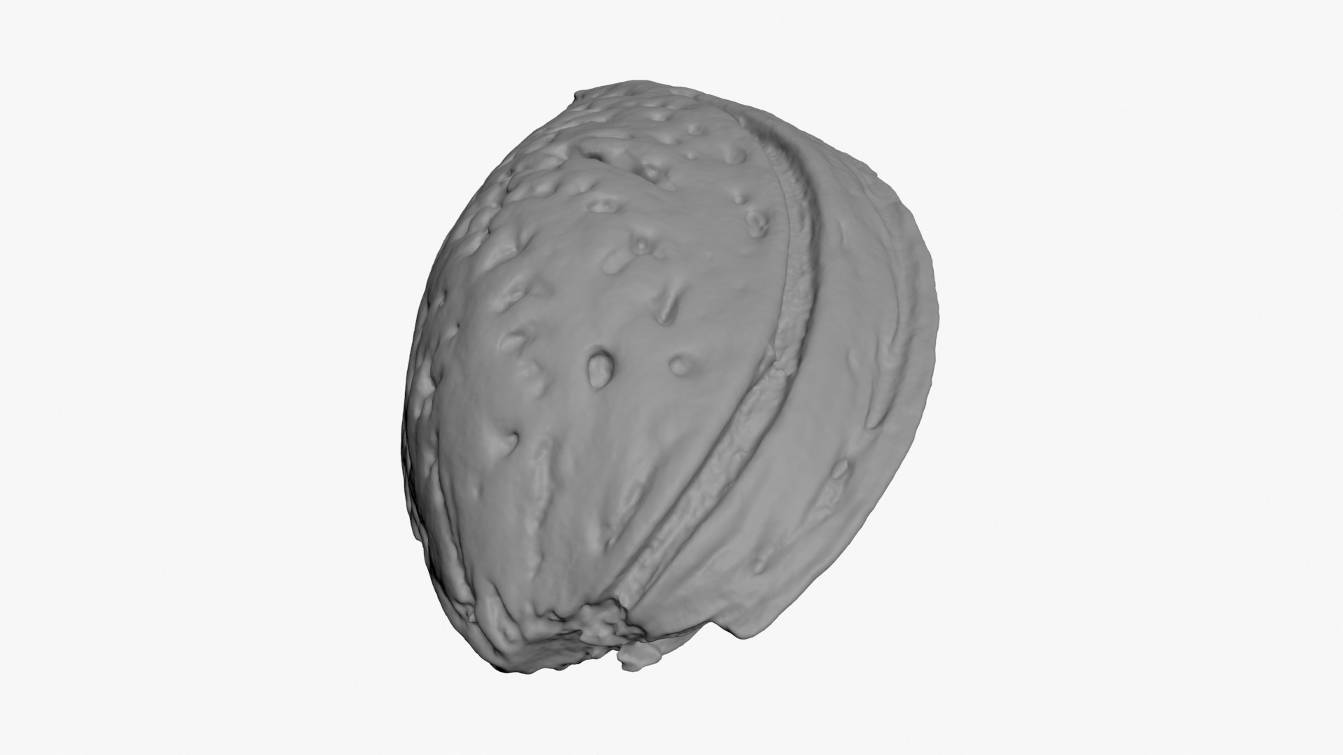 Almond Shell 3D Print 3D Model - TurboSquid 2279558
