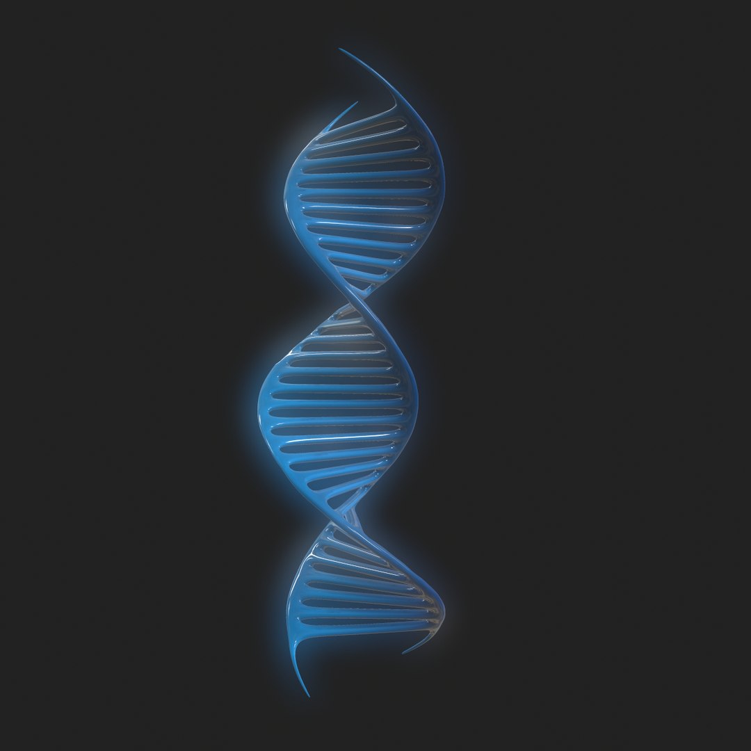 Dna science helix 3D model - TurboSquid 1430283