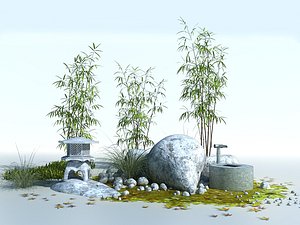 plants - japanese max