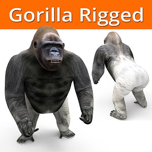 gorilla rigged 3D