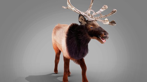 3D Fur Red Reindeer Rigged Blender - TurboSquid 1742588