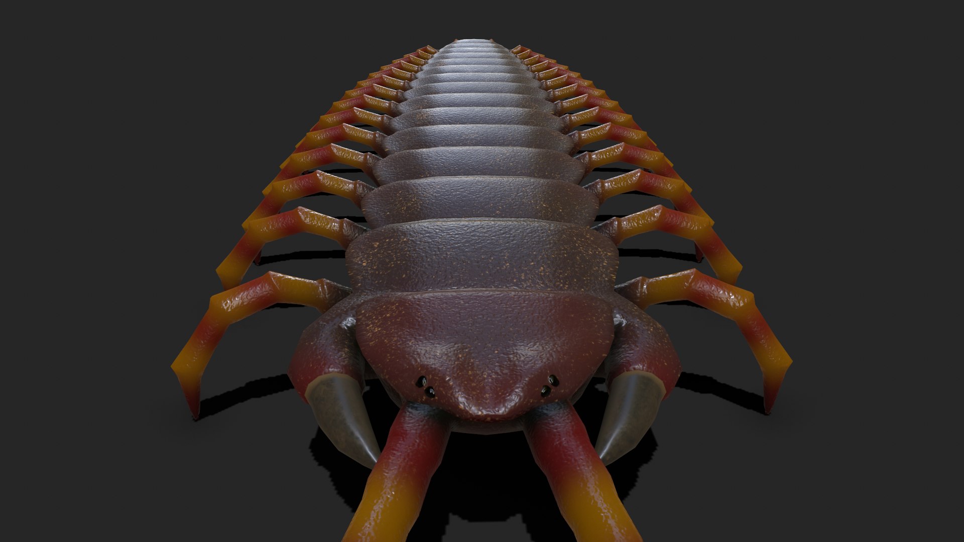 Centipede Rigged And Animated 3D Model - TurboSquid 1847328