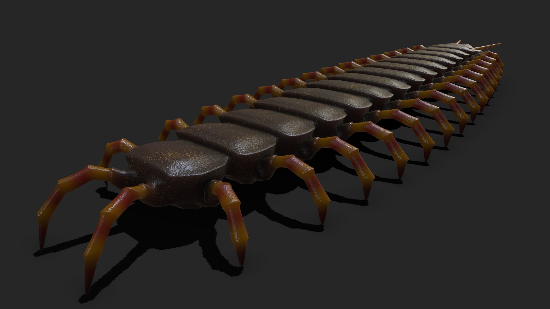 Centipede Rigged And Animated 3D Model - TurboSquid 1847328