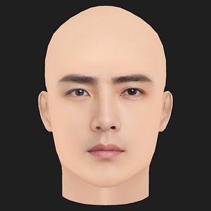 Low Poly Mike He - He Jun Xiang Head