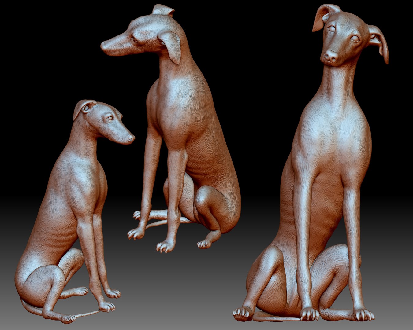 greyhound dog printable 3D model https://p.turbosquid.com/ts-thumb/PV/gf2U0F/GY/5/jpg/1608791589/1920x1080/fit_q87/c8eca520f5f832fead67a931e962ffe073afc9b9/5.jpg