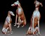 Greyhound dog 3D printable model with or without basement