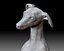 Greyhound dog 3D printable model with or without basement