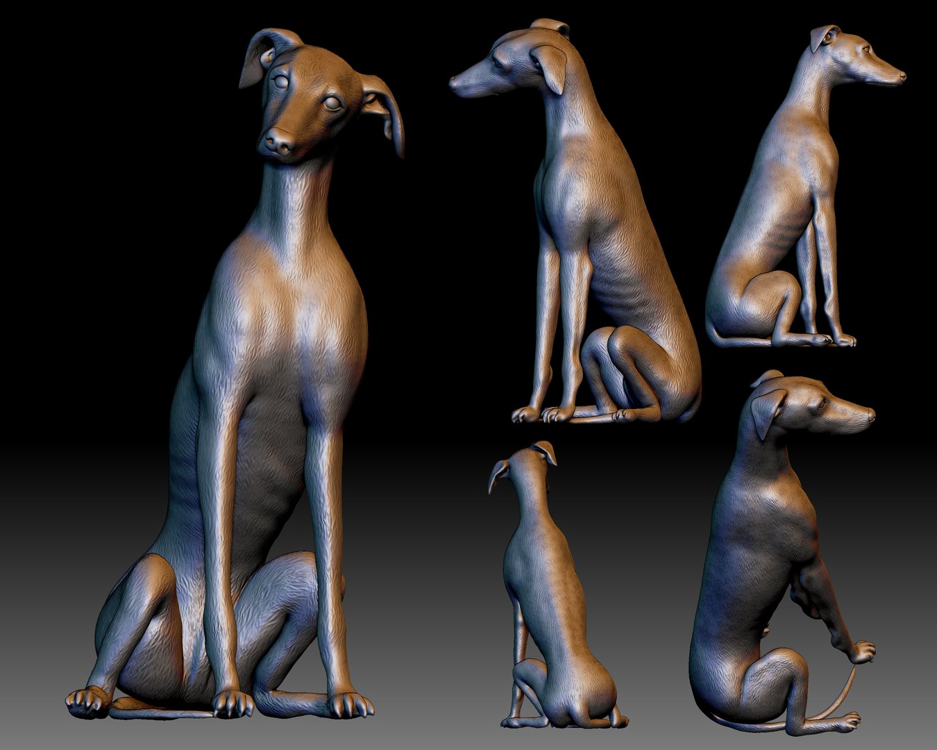 greyhound dog printable 3D model https://p.turbosquid.com/ts-thumb/PV/gf2U0F/eS/4/jpg/1608791588/1920x1080/fit_q87/f08fd26109b40b4870e38a607adfb11e51f55089/4.jpg