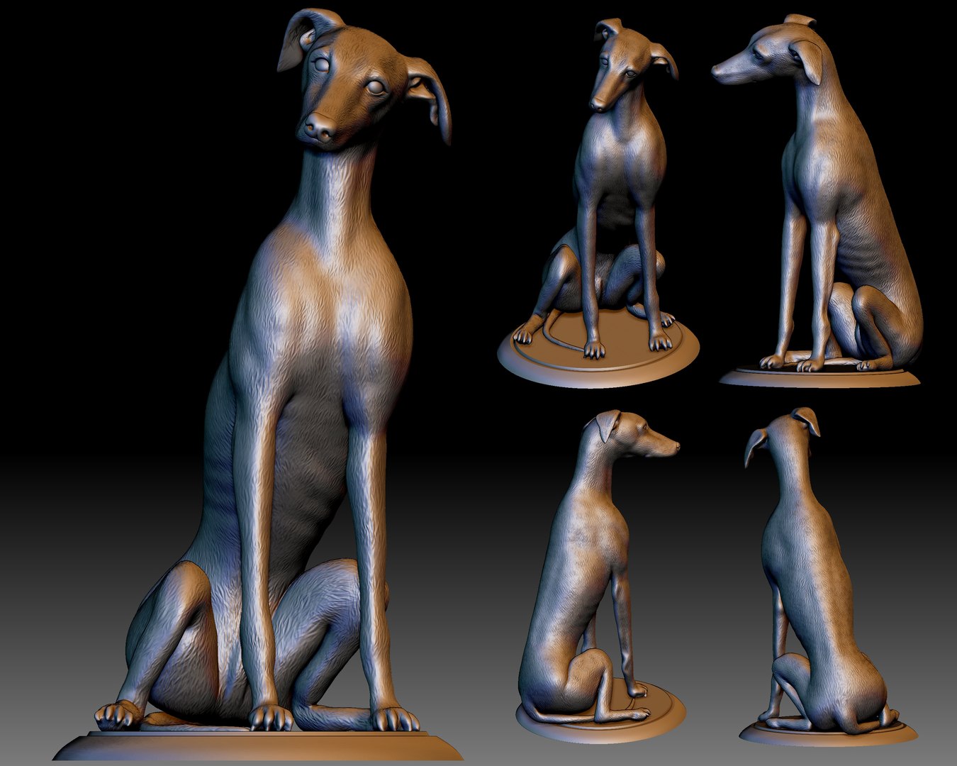 greyhound dog printable 3D model https://p.turbosquid.com/ts-thumb/PV/gf2U0F/zI/1/jpg/1608791767/1920x1080/fit_q87/1f81ed30571e88639b87576c716aeaaf5d980857/1.jpg