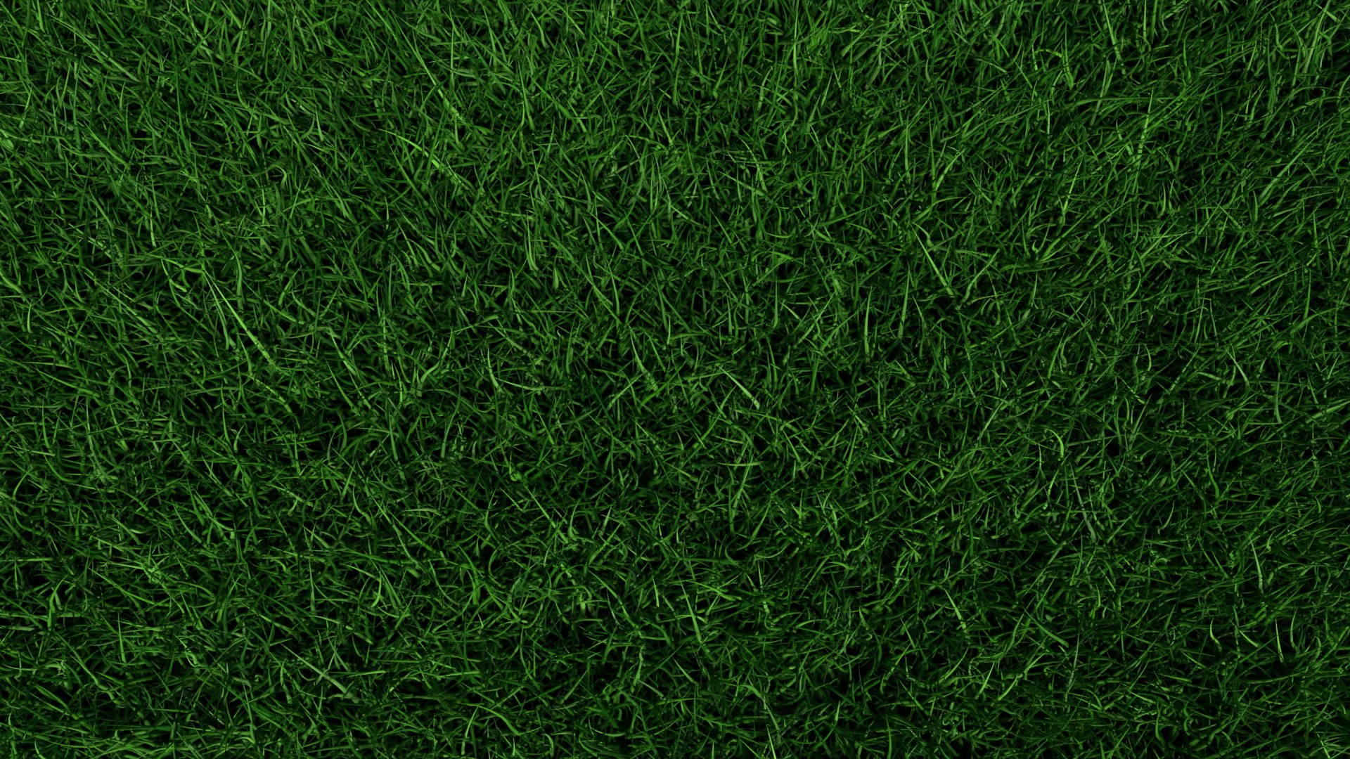 3D Model Grass Model - TurboSquid 2028527