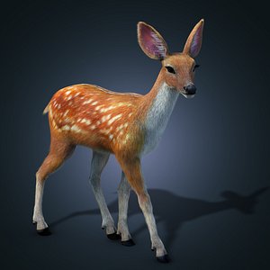 fur animation deer 3d model